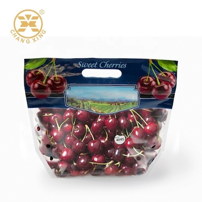 trockene Frucht-Verpackentaschen 100g 500g mit Loch frischer Cherry Stand Up Pouches Eco freundlich